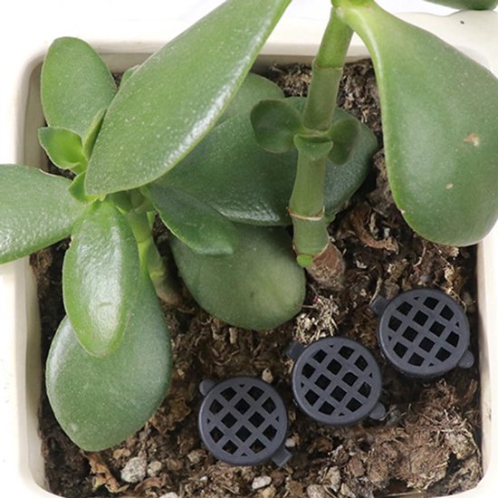 50-delige Meststof Netmandjes Met Deksel - Kweekcups Voor Vetplanten, Orchidee毛n & Bonsai van Merkloos	 — afbeelding 3