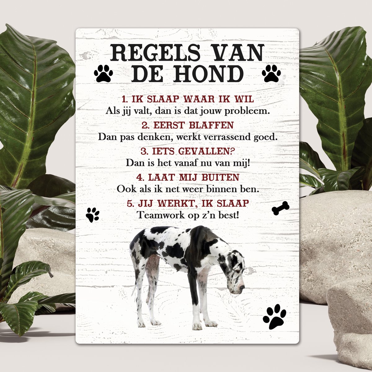 Spreuken - Duitse dog - Regels Van De Hond - Spreuken Bordjes - Spreukenbord - Tekstborden - Cadeau - Hondenras