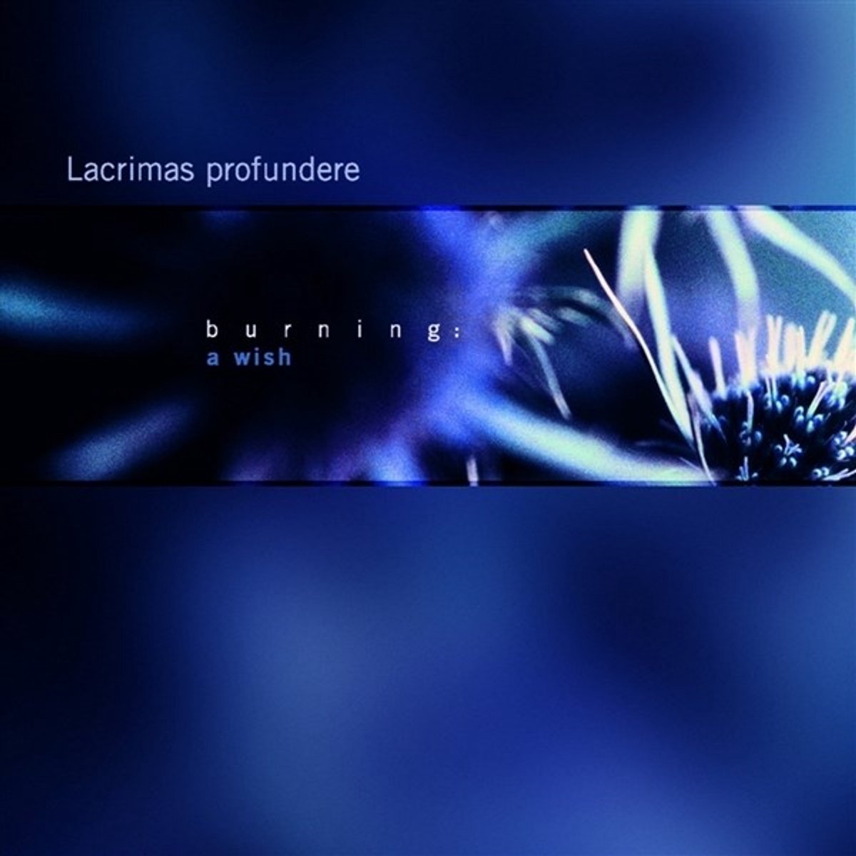 Lacrimas Profundere - Burning: A Wish (LP) (Coloured Vinyl)
