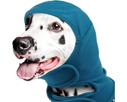 Daity Een verstelbare, kalmerende hoofdband voor honden, geschikt voor het verzorgen, wassen en drogen. Voorkomt dat het hoofd van het huisdier schudt, beschermt de oren, biedt geluidsisolatie en vermindert lawaai. Maat L (blauw).