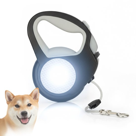 Reflecterende Hondenriem 5 Meter - Antislip Rollijn - Riem voor Halsband - Honden Spullen - Uitlaatriem - 16 x 12 x 2 cm - PetVille