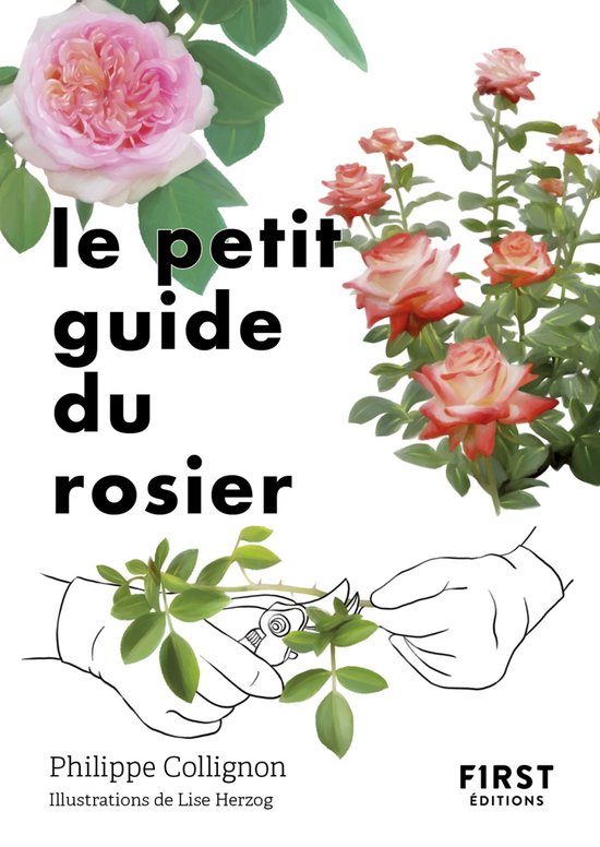 Le petit livre de - Le Petit Guide du rosier - cover