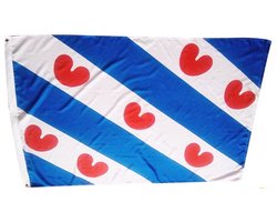 Go Go Gadget - Friese vlag - 90x150cm - Friesland