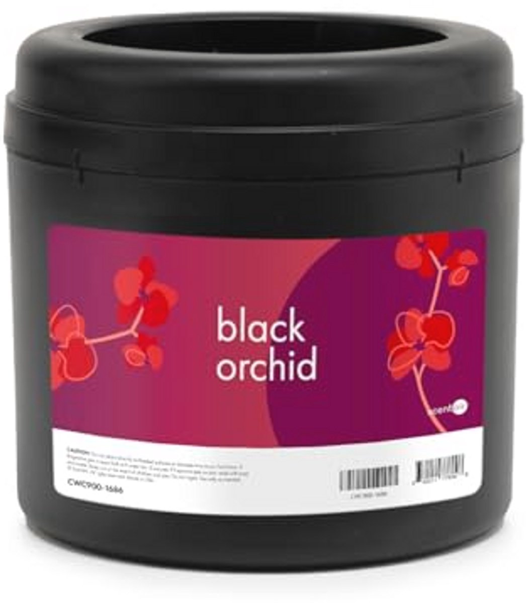 Maandelijkse geurpatroon voor thuis - Zwarte Orchidee geur voor een warme en sensuele ambiance