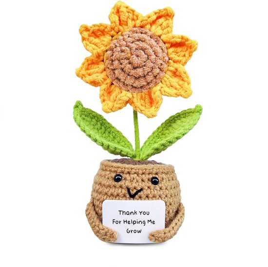 Cadeaux Tournesols - Pour Femmes et Hommes - Plante de soutien émotionnel - Fleur de Noël - Nous vous souhaitons un prompt rétablissement - Cadeau de remerciement - Option A