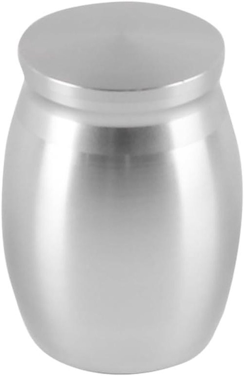EGoods - Waterdichte crematiepot voor huisdieren | Roestvrij stalen herdenkingsurn | 30x30x40mm | Zilverkleurig