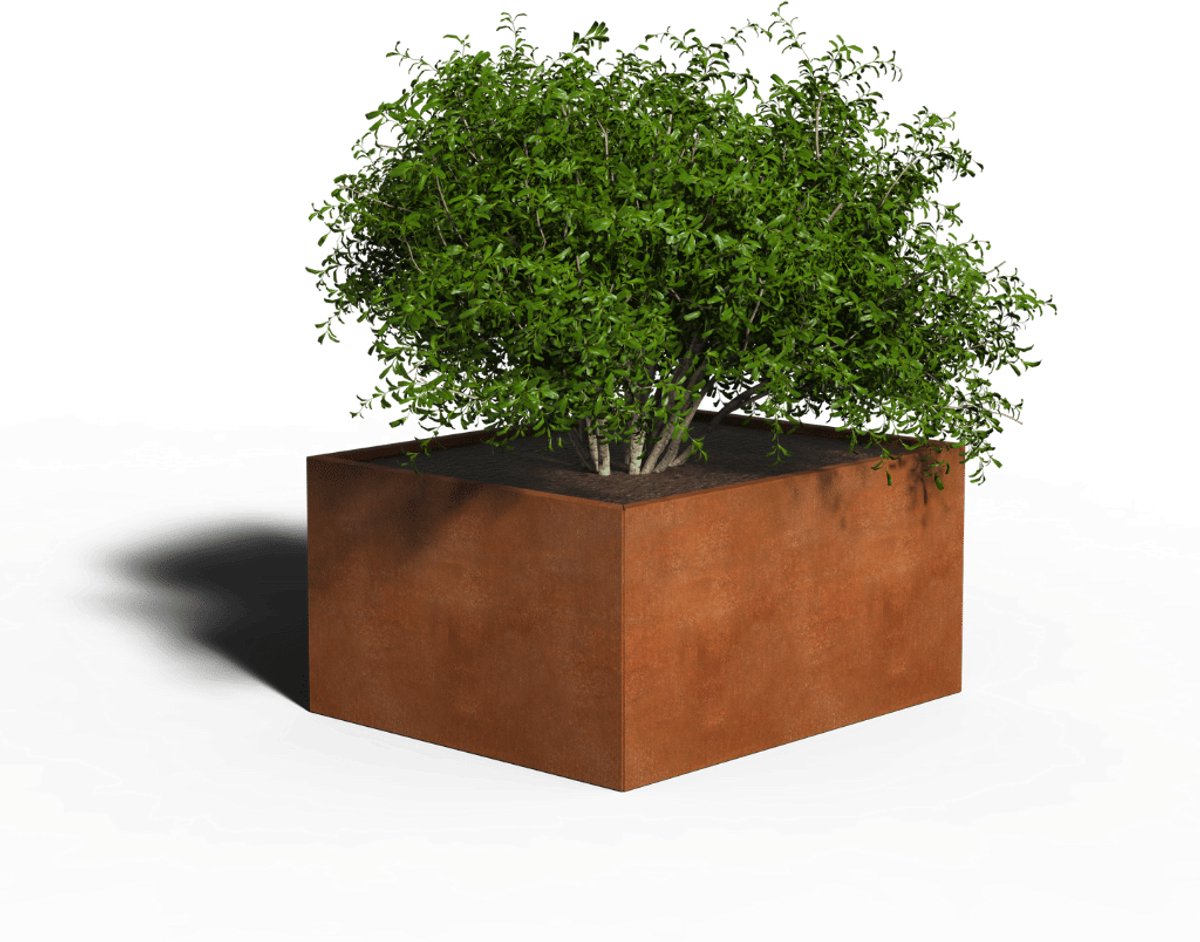 Cortenstaal Plantenbak Rechthoek | 120 x 100 x 30 | Met bodem