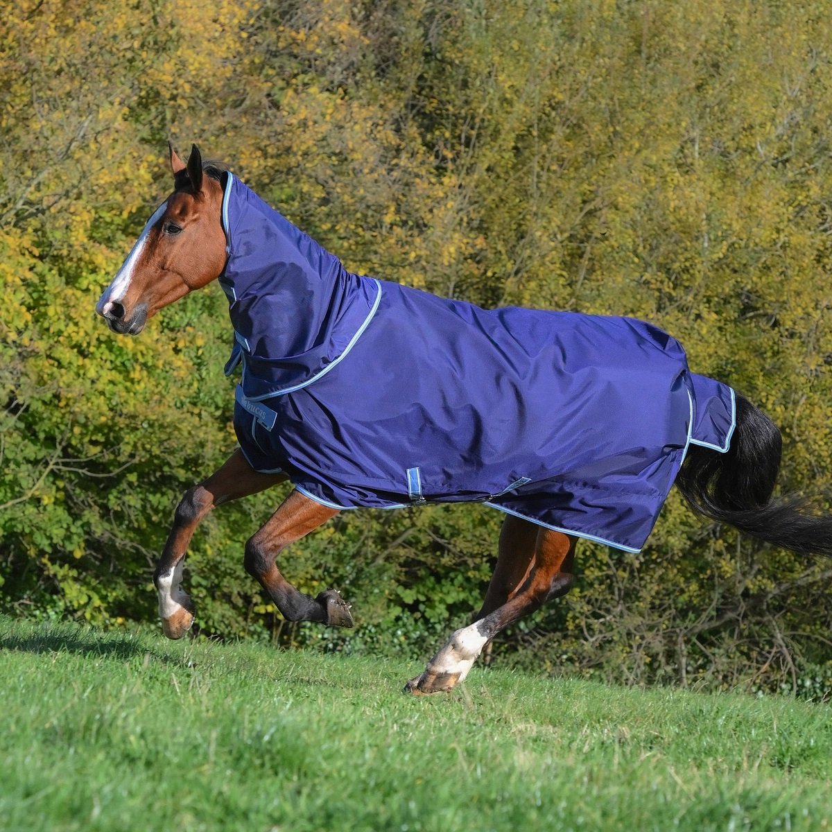 BUCAS ATLANTIC EXCLUSIVE 150GRS & NECK Donkerblauw