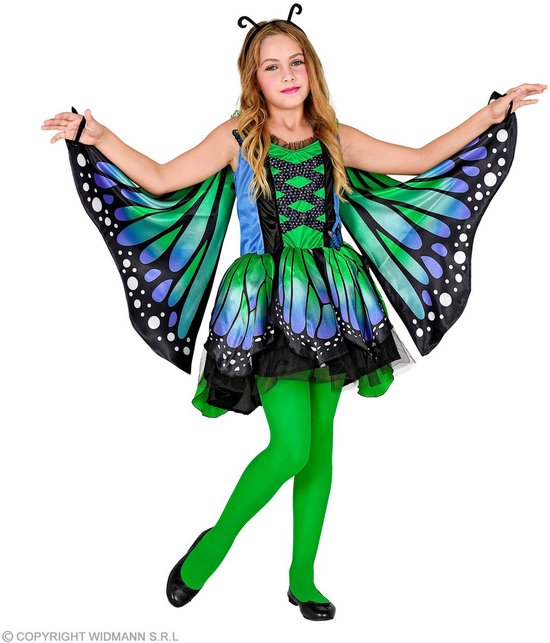 Vlinderpak blauw groen kind