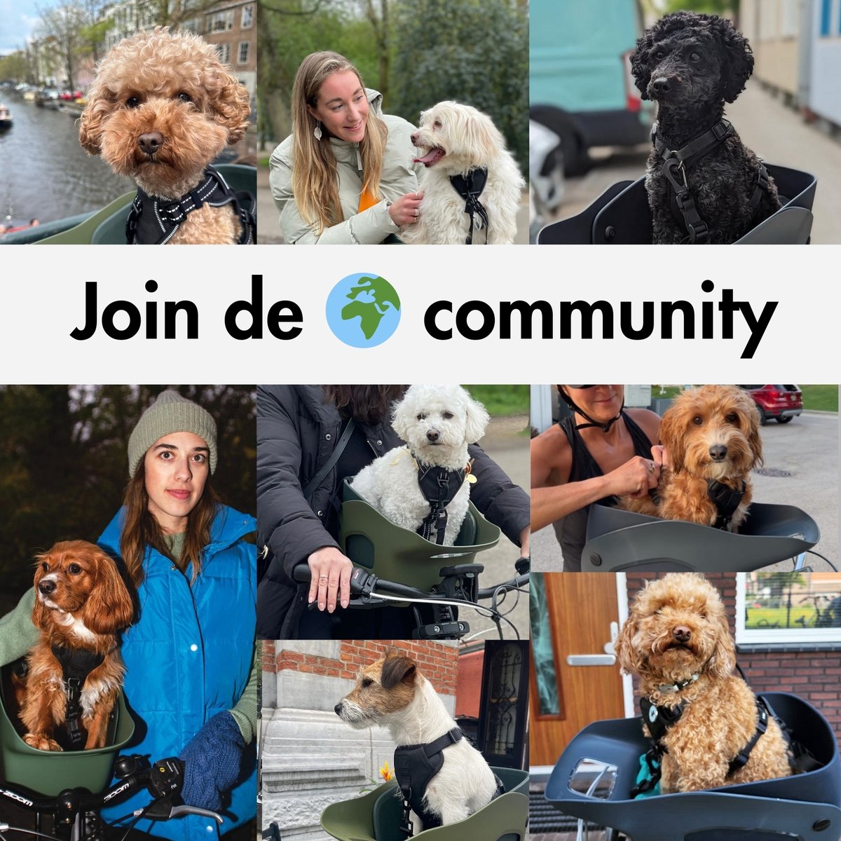 Kvisp® - Fietsmand voor Honden Voorop - Midnight Gray - S Harnas - Voor honden tot 12kg - Ook geschikt voor Elektrische Fietsen - Hondenmand Fiets - Veiligheid Voorop - Bekroond ontwerp – foto 8
