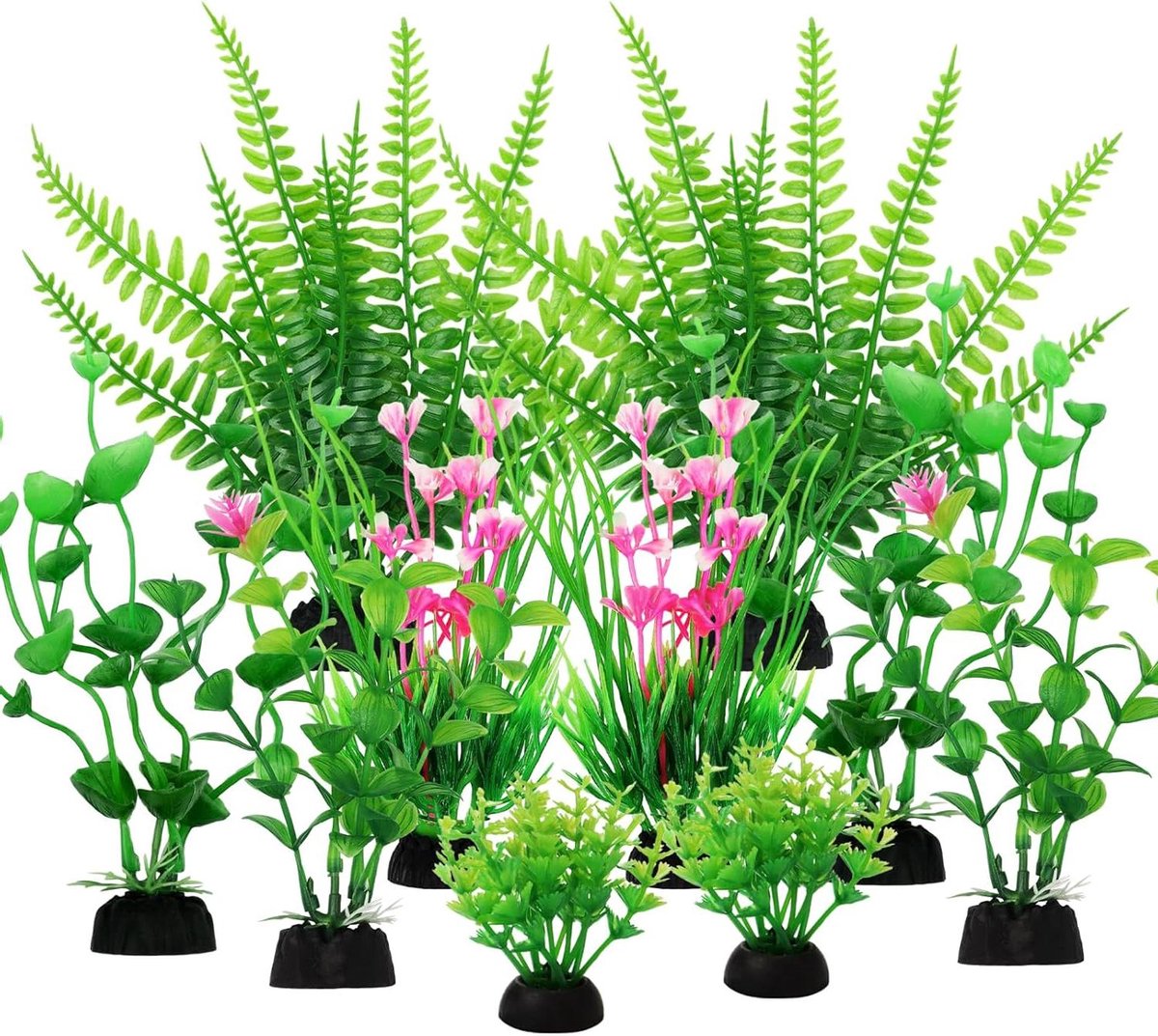 Cosensi - Aquariumplanten voor een levendige visomgeving met zoekwoord toevoegen.
