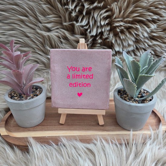 Robuust Wenstegeltje "You Are a Limited Edition" - Tegeltjes met tekst