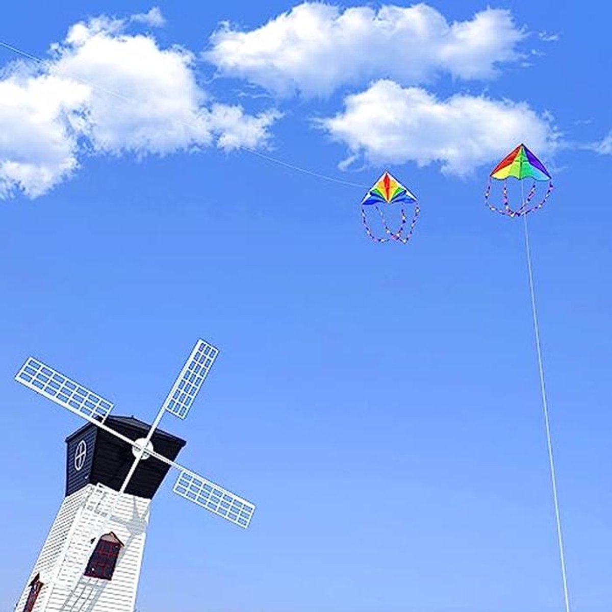 Grote Rainbow Delta Vlieger voor Kinderen en Volwassenen – Perfect voor Beginners en Peuters