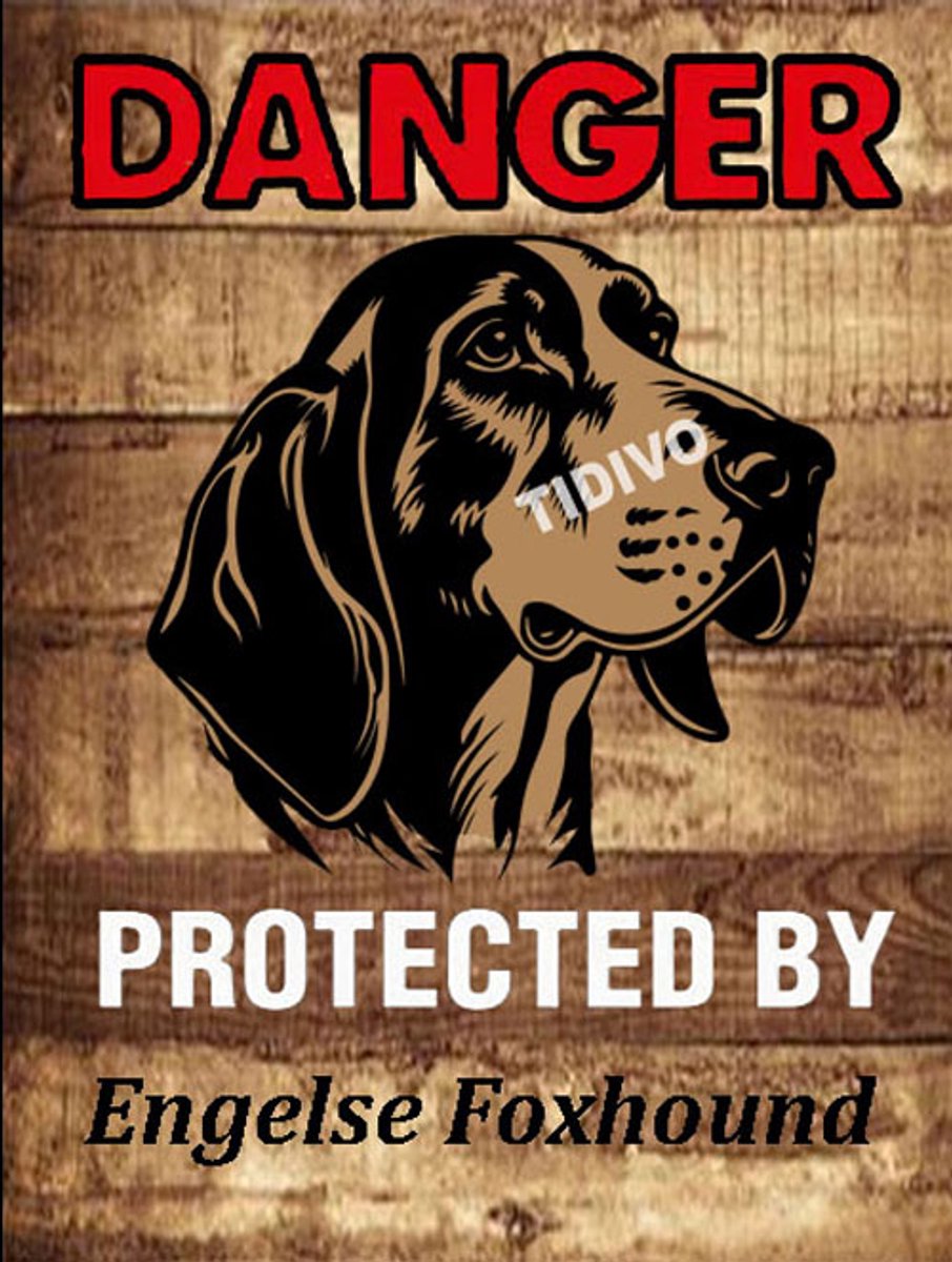 Engelse Foxhound 19
