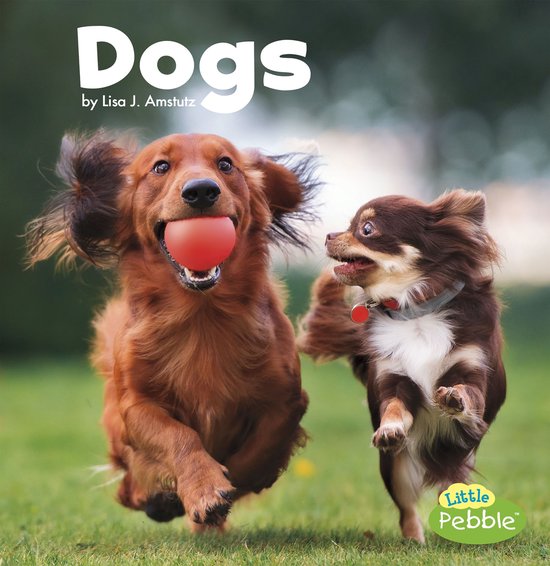 Our Pets - Dogs