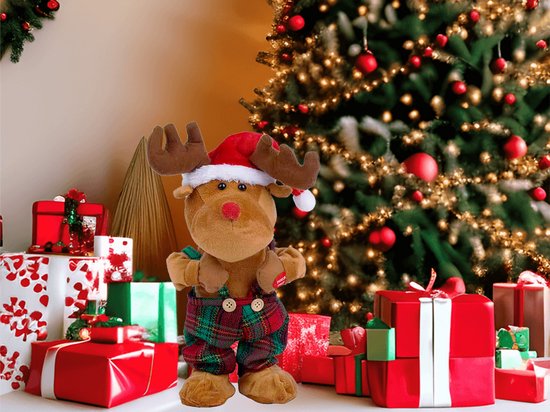 Echte Waarnemingen Van De Kerstman En Rudolph Rendiernamen Rudolph Het