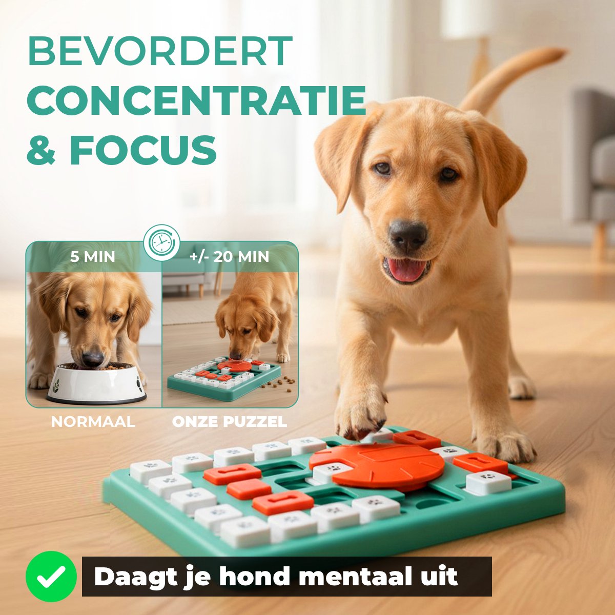 Vacht Vreugde Hondenpuzzel - Level 4 Intelligentie - Large thumbnail 6