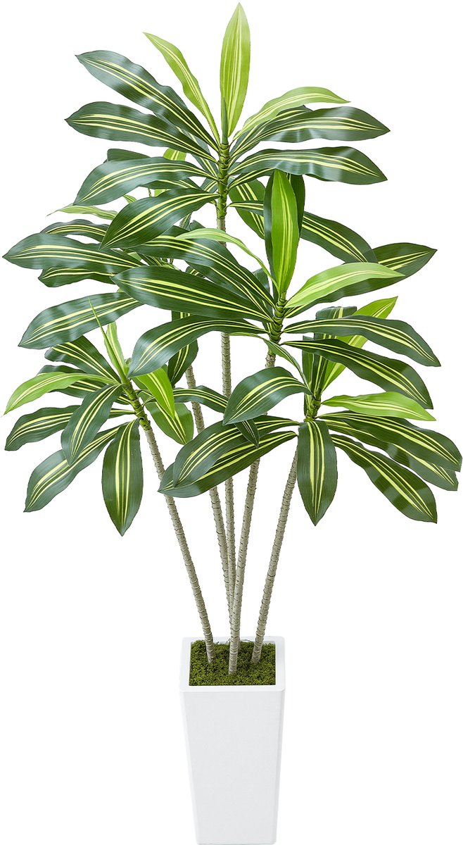 Vevor Kunstmatige Dracaena Boom 1.8m Kunstplant met Witte Pot Kunstboom groen