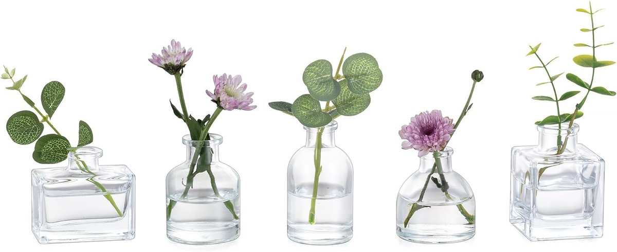 Famanu – Mini glazen vaasjes set van 5, kleine bud vazen voor bloemen en stekjes, geschikt voor tafeldecoratie, bruiloften en interieurstyling