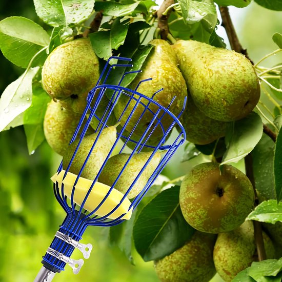 Fruitplukker met draaimechanisme - Telescopische fruitplukker van roestvrij staal - Fruitplukker voor bomen - Fruitplukmand - Telescopische steel van 4 meter - Geschikt voor fruit uit de tuin, zoals sinaasappels, peren en citroenen - Blauw — afbeelding 4