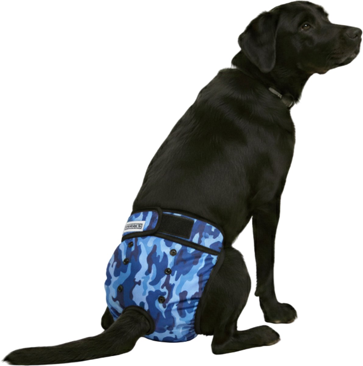 Loopsheidbroekje hond - camo blauw - maat XL - voor grote honden - hondenbroekje - hondenluier - loopsheid hond - herbruikbaar - perfecte pasvorm