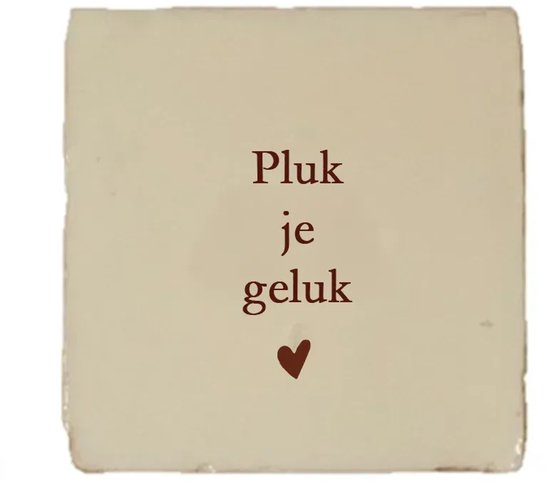 Gekleurd tegeltje - Pluk je geluk - Beige - Handgemaakte tegel | Spreuktegel | Tegeltjes met Spreuken | Tegeltjeswijsheid | Tegeltje tekst | Origineel cadeau