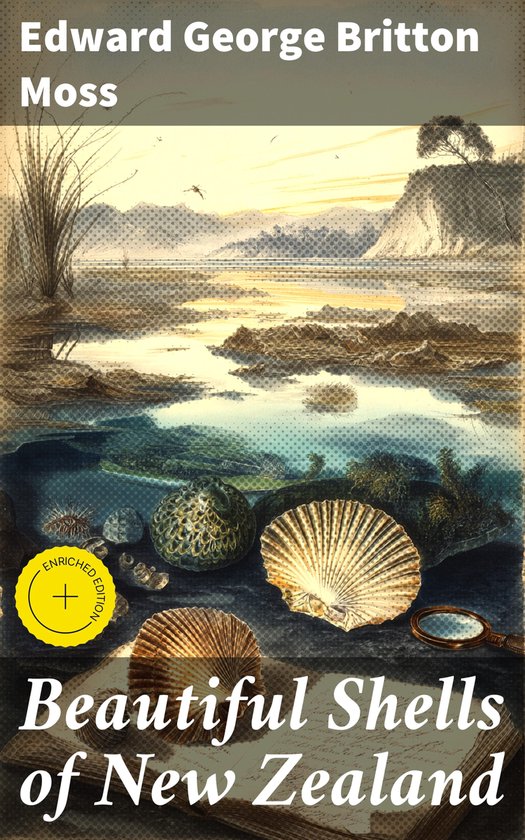 Beautiful Shells of New Zealand - cover