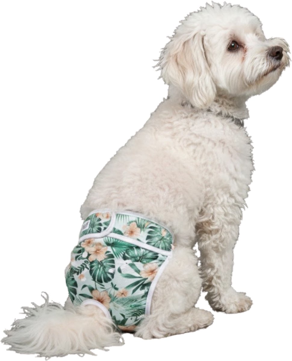 Loopsheidbroekje hond - bloemenprint - maat S - voor kleine honden - herbruikbaar - hondenbroekje - hondenluier - loopsheid - ongesteldheid - voorkomt ongewenste zwangerschappen bij teefjes - milieuvriendelijk - perfecte pasvorm