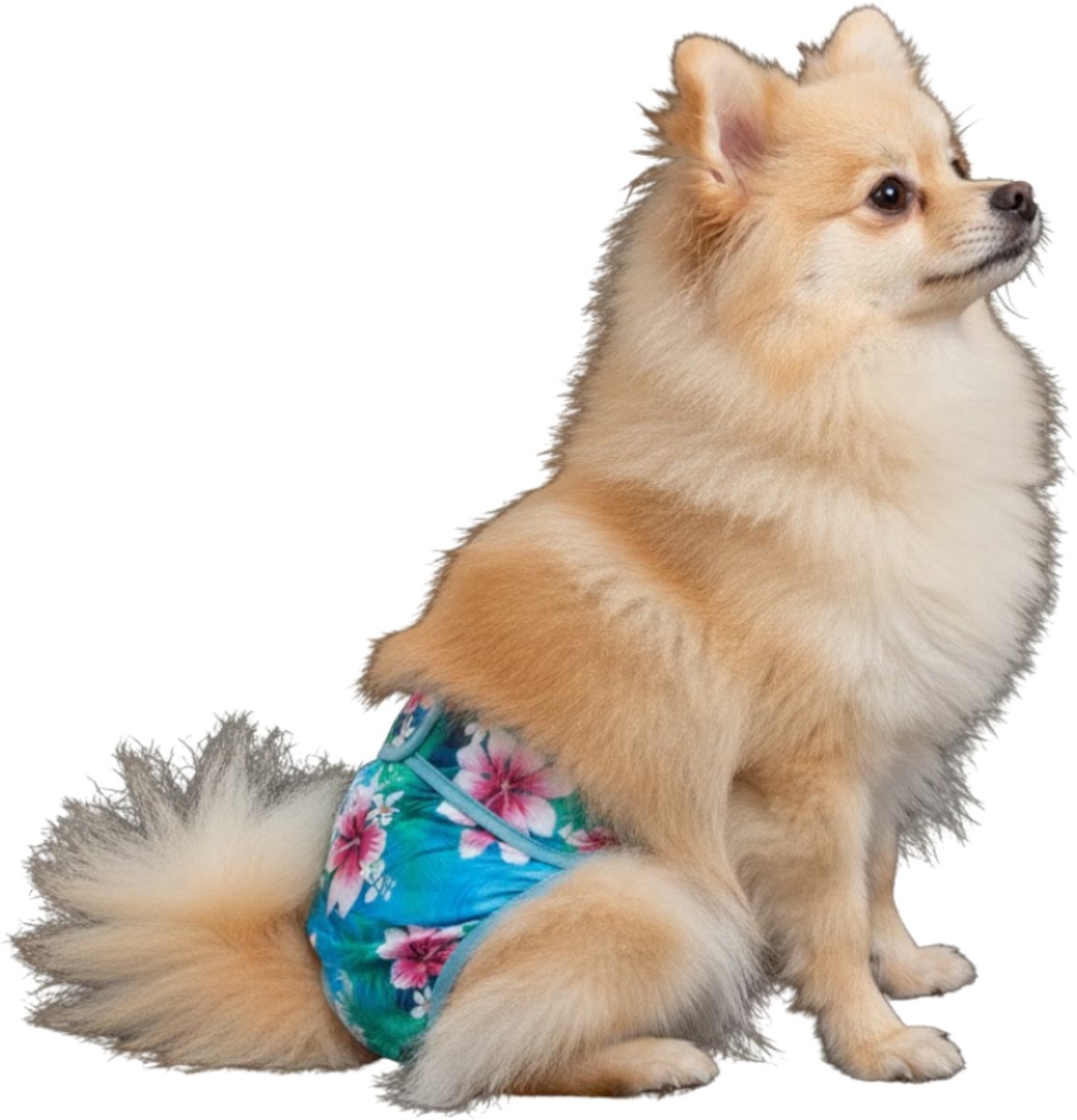 Loopsheidbroekje hond - Maat S - Magnolia - Herbruikbaar - Hondenluier - Wasbaar