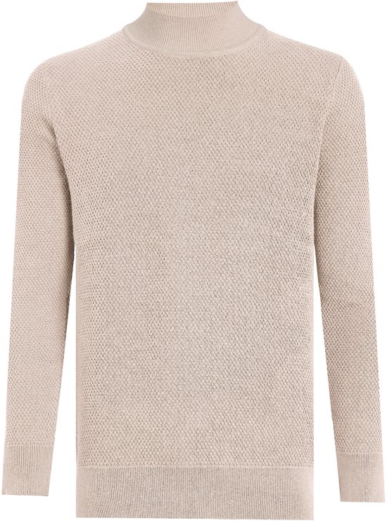 Pull col roulé Felix Hardy - 100 % Katoen pour homme - Beige - XL