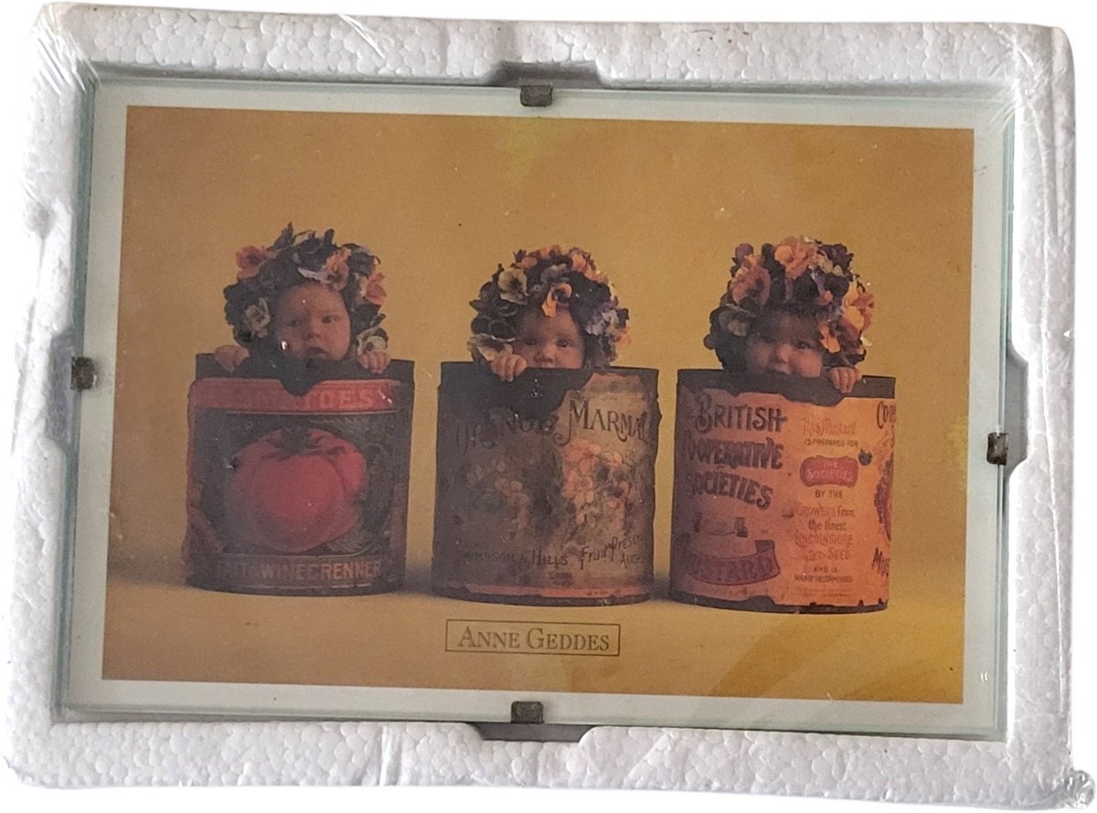 Anne Geddes Fotolijst Glas 10 x 15 cm Anne Geddes Randloos Kleurloos