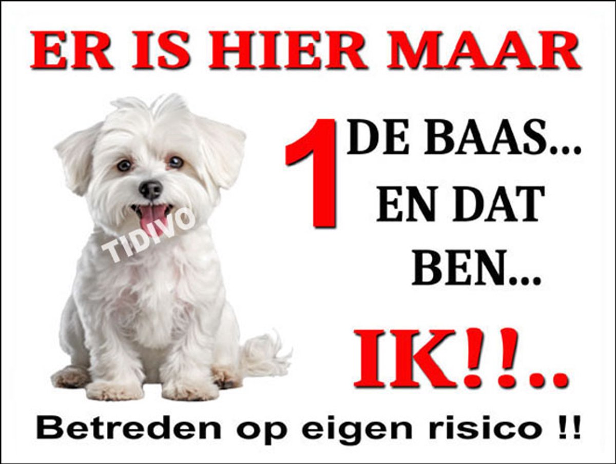 Maltezer 26