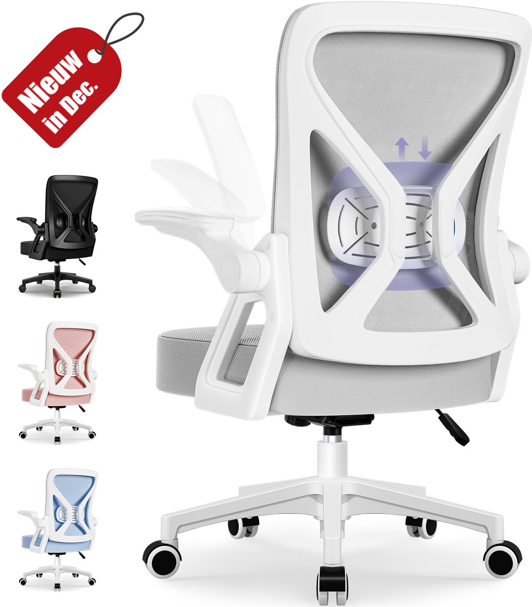 Hiaonyx Bureaustoel-Ergonomische bureaustoel-bureaustoelen voor volwassenen-Opklapbare armleuningen-Lendensteun-Verdikt en verbreed zitkussen-Grijs - Hiaonyx - €77,99