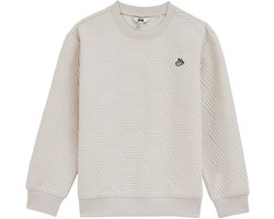 WE Fashion Jongens trui met structuur