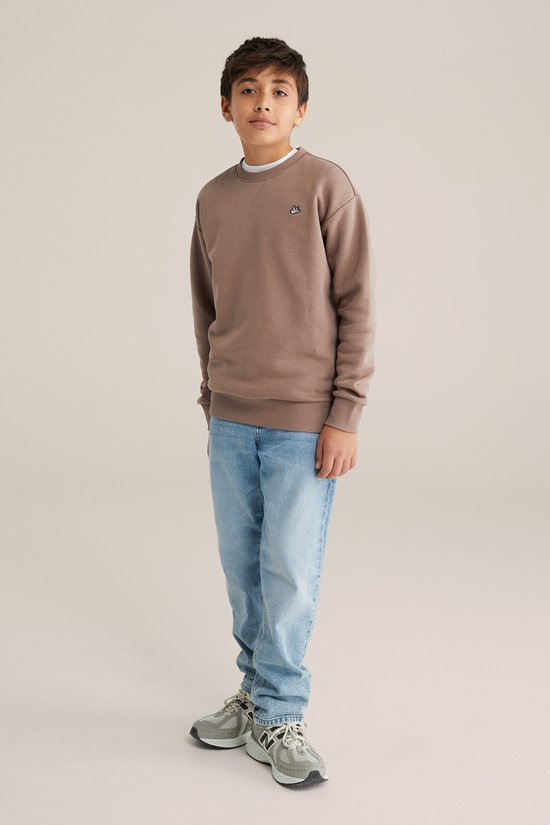 WE Fashion Jongens regular fit sweater
