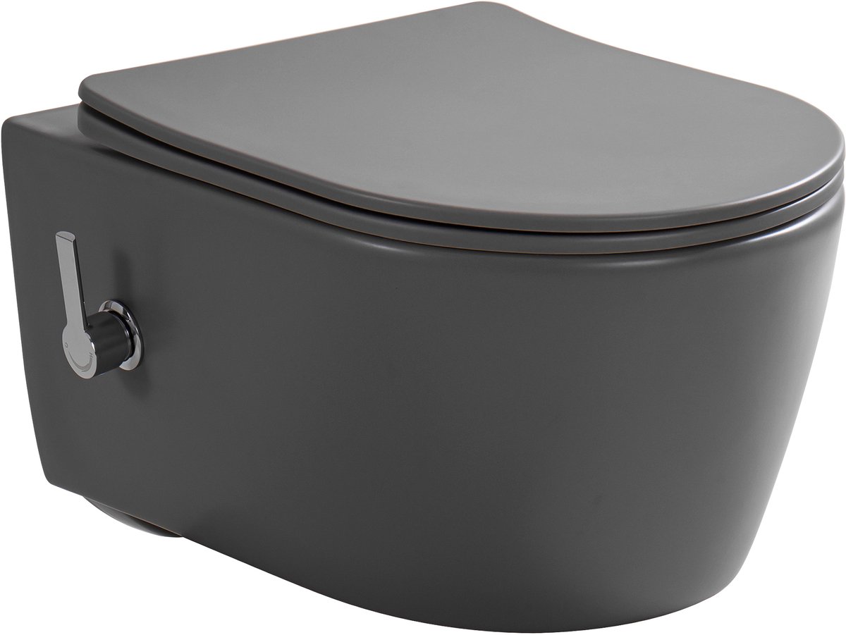 Kayvit Hangtoilet Mat grijs rond met bidet Tornado/rimless