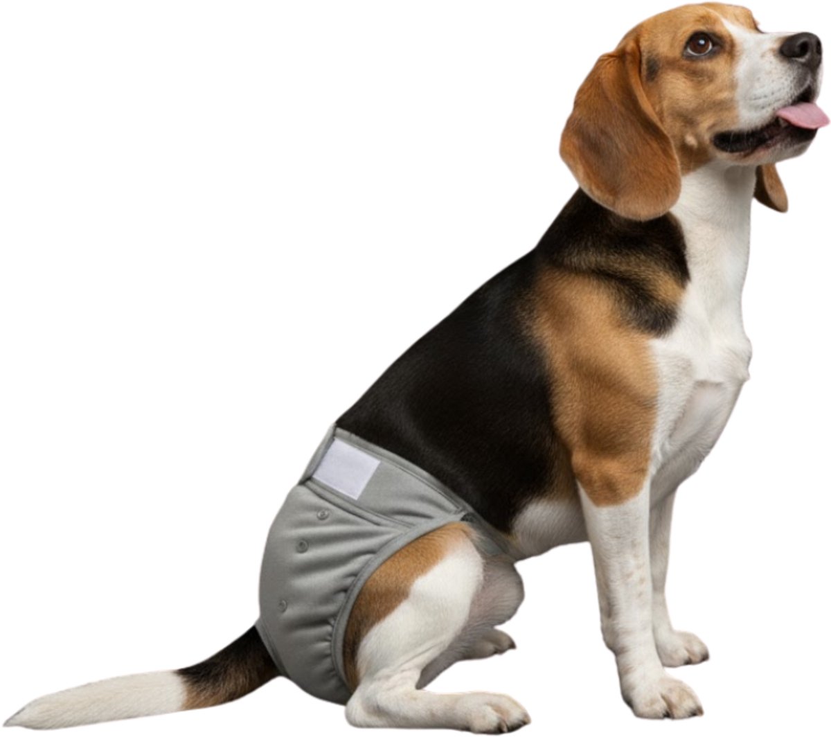 Loopsheidbroekje Hond - L - Hondenluier - Grijs - Verstelbaar in lengte en breedte 36-46 cm - Bij loopsheid en incontinentie