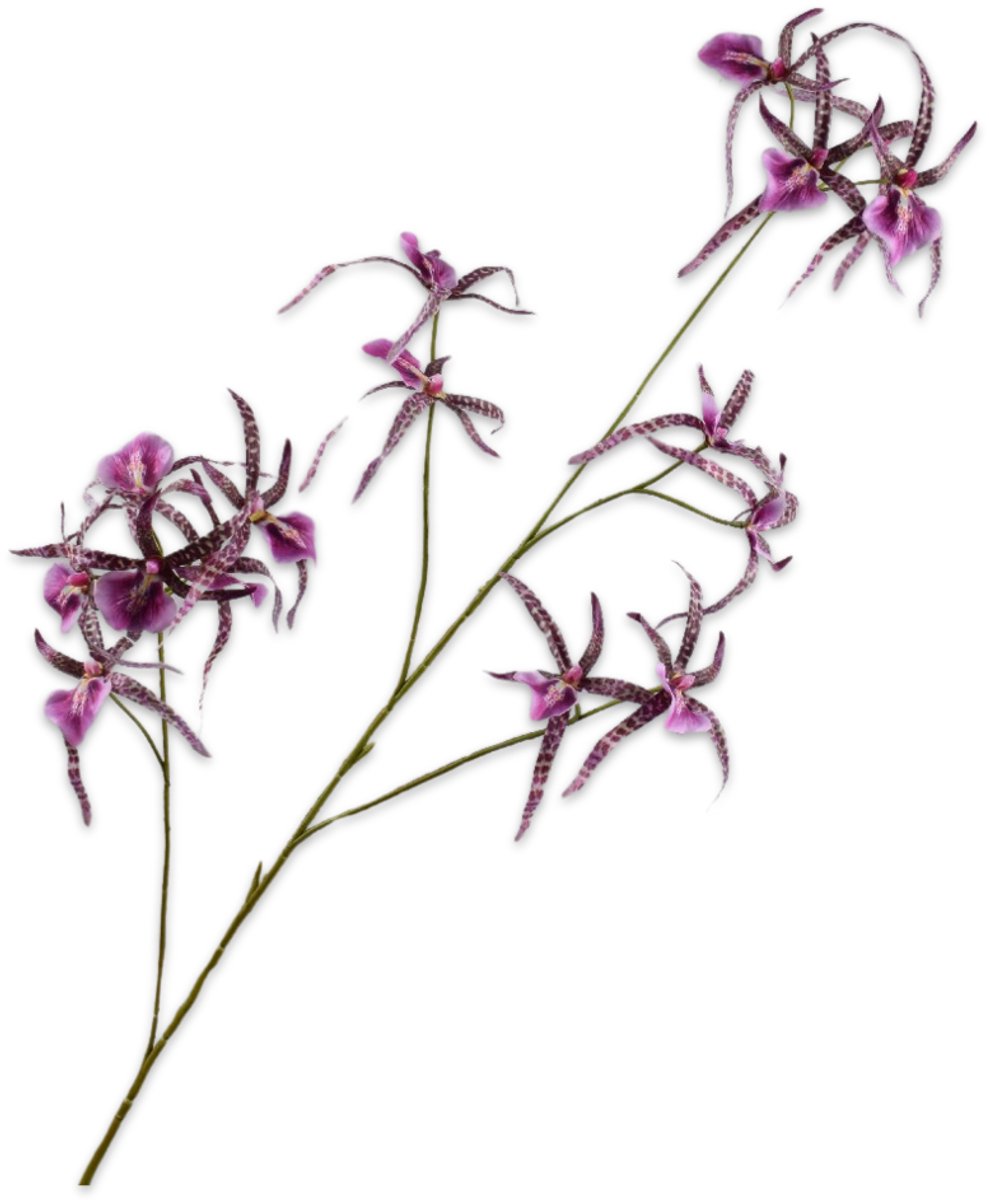 Silk-ka Kunstbloem - paars - H108 cm