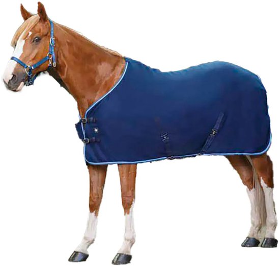 Bruine paard met navy zweetdeken met lichtblauwe bies. De deken heeft dubbele gespen aan de voorkant en klittenbandsluiting.