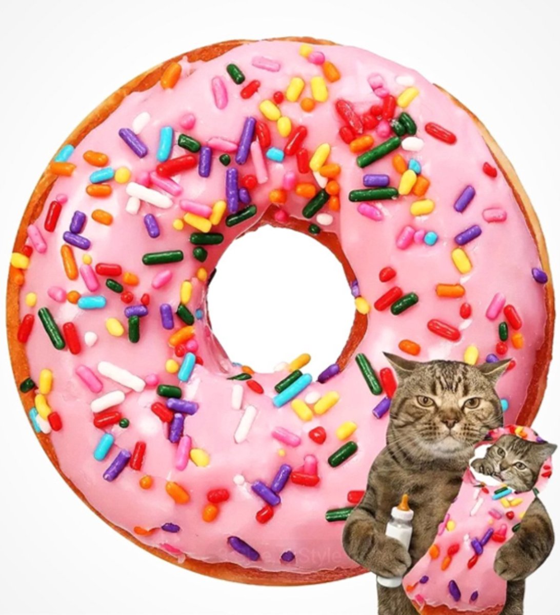 Donut deken rond XL formaat (180cm) superzacht en warm - rol jezelf of iemand anders in - Grappige fleece blanket - Donut - Niet om op te eten - Perfect voor spelletjes, knuffelen, spelen - Ideaal cadeau