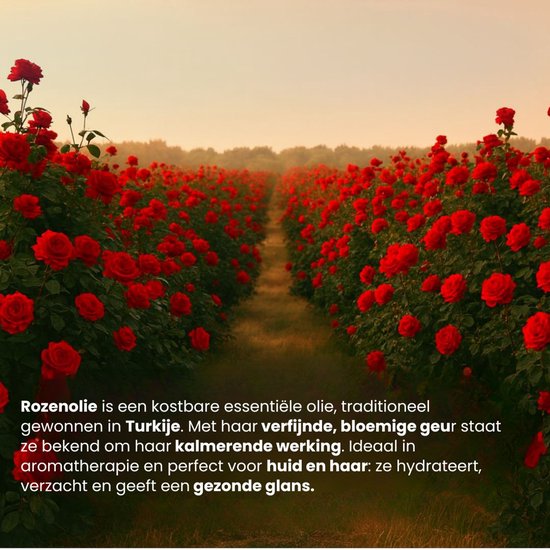 Een veld vol met rode rozen, met op de achtergrond lichte mist. Tekst over rozenolie uit Turkije.