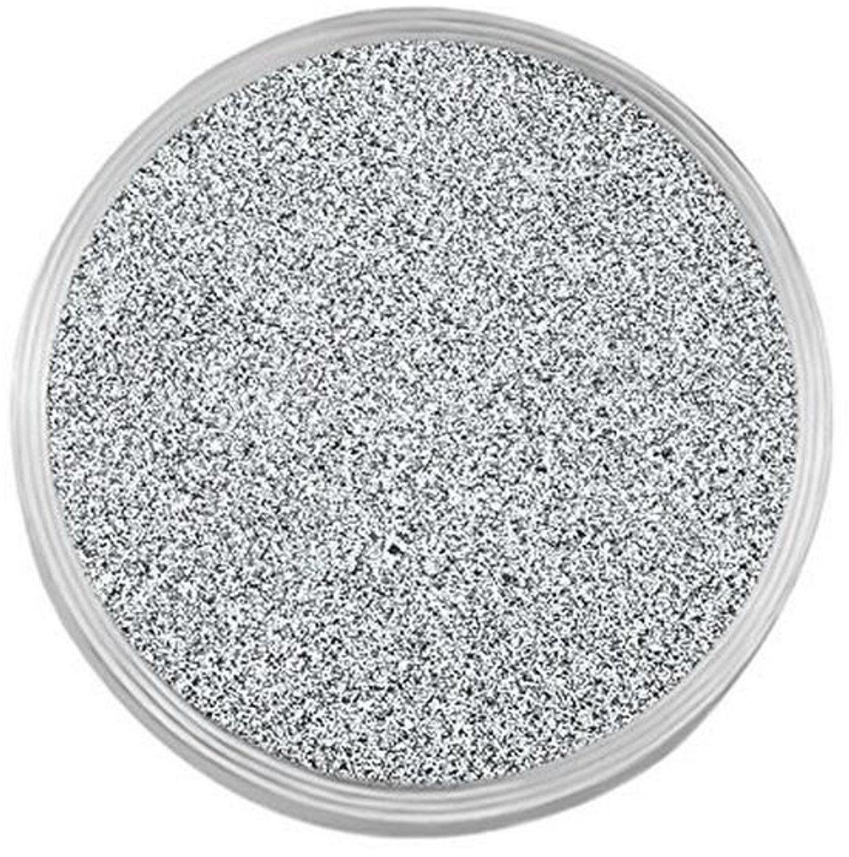 Mini Coin RVS Glitters Zilver voor Sieraden