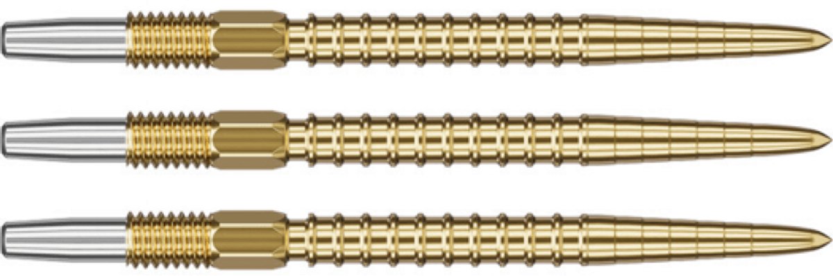 Target Swiss Points Chrono Gold 26 mm