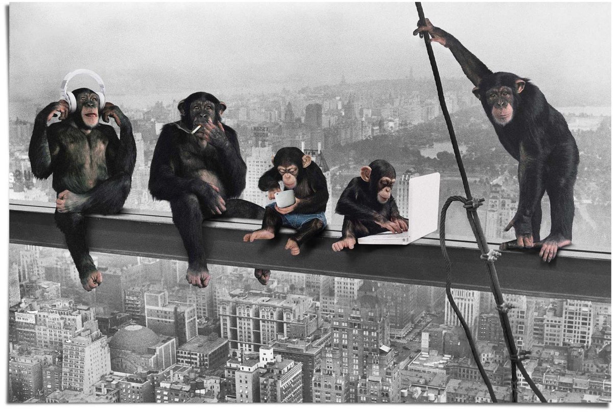 REINDERS Poster The Chimp - girder - 61 x 91,5 - Papier - REINDERS zwart
