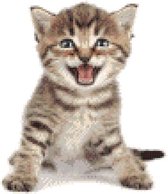 DP® Diamond Painting pakket volwassenen - Afbeelding: Mauwende tabby kitten - 30 x 30 cm volledige bedekking, vierkante steentjes - 100% Nederlandse productie! - Cat.: Dieren - Katten