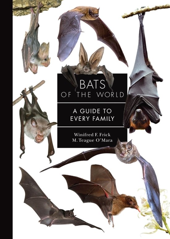 Bats of the World - cover