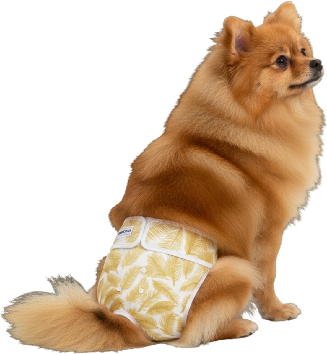 Loopsheidbroekje hond - gouden palmprint - maat S - voor kleine honden - herbruikbaar - wasbaar - hondenbroekje - hondenluier - milieuvriendelijk - perfecte pasvorm