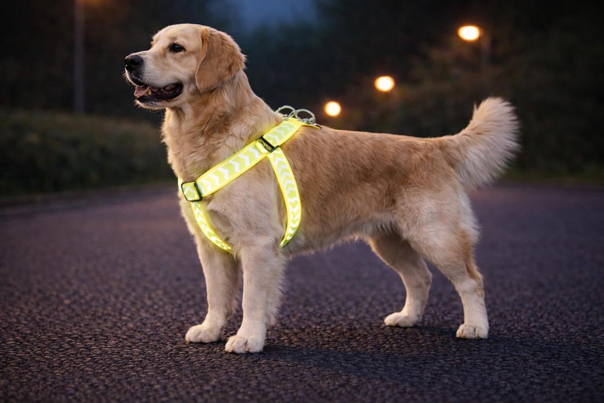 Hondentuig – hondenharnas – Step&Go Fergu Fluo geel L – 40–70 cm – 25 mm breed – nylon – reflecterend – traploos verstelbaar – met trekontlasting