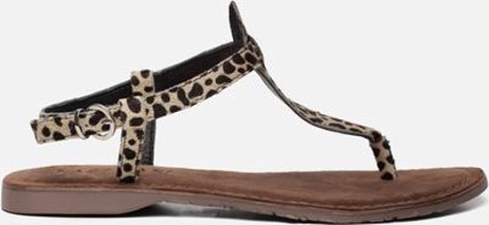 Lazamani Sandalen bruin - Maat 36 | bol.com