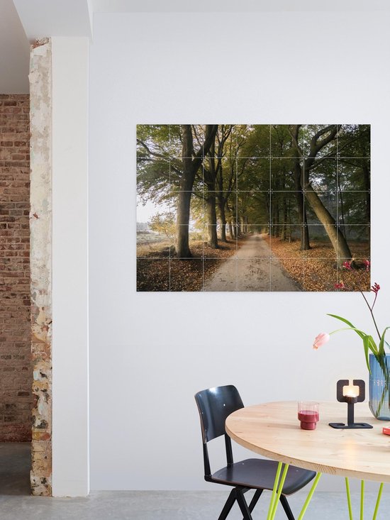 IXXI Autumn Forest Lane, Claire Droppert - 80 x 60 cm - Support d'accrochage gratuit - Grande décoration murale et posters - Réalisme, Photographie, Naturalisme